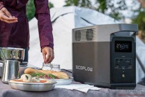 EcoFlow Delta 2